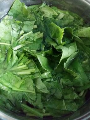 水开了，把菠菜倒进去焯熟，水里放点盐，这样菠菜焯出来颜色比较绿。