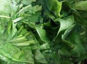 水开了，把菠菜倒进去焯熟，水里放点盐，这样菠菜焯出来颜色比较绿。
