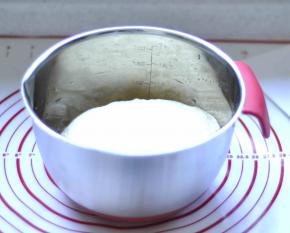 3、然后常温发酵（因为是夏天）