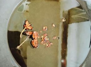 锅里热油，放八角，花椒。待花椒，八角成熟后捞出丢掉。