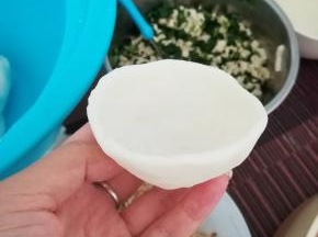 取一小团粉，用手捏成一个小碗状的皮。
