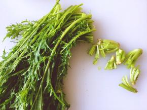 将雪里红去尾部然后一根根洗干净