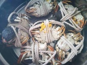 背面朝下，免得蟹黄流出来浪费了，冷水上锅蒸18分钟，关火，焖一下