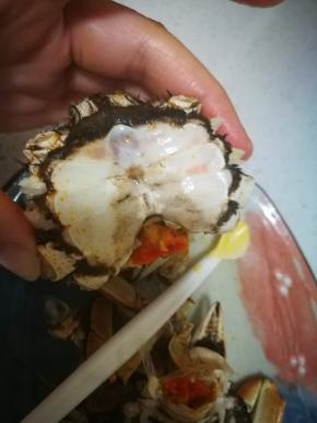 揭腹部的壳 拧下来