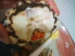 揭腹部的壳 拧下来