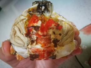 上面有须一样的东西，蟹肺，摘下来扔掉