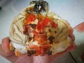 上面有须一样的东西，蟹肺，摘下来扔掉