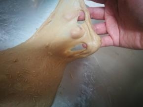 揉到面团光滑可以拉出均匀薄膜