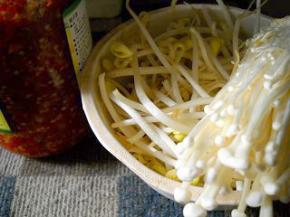 准备好黄豆芽和自制红剁椒。