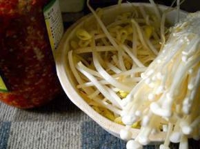 准备好黄豆芽和自制红剁椒。