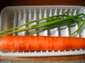 准备好香葱、胡萝卜。