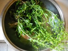 准备好荠菜花，洗净备用。