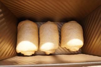 将其用手掌拍扁，再次擀开成牛舌状，边缘的气泡用手拍掉，上而下卷起，然后放入450克吐司盒排排站二次发酵