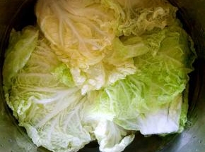 大白菜把菜帮切掉，菜叶用水焯一下，使它变软。