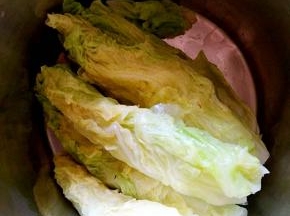 过凉水后挤去水分备用。