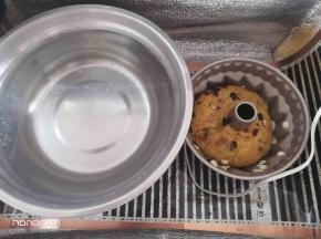 发酵箱里面放一碗热水，将面团放入。