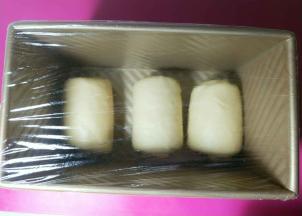 三个面团依次卷好，放入模具，盖上保鲜膜。