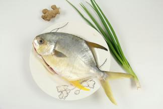 准备好食材：金鲳鱼、姜、葱。（从超市买的鱼，已经让他们杀干净了）