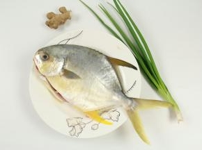 准备好食材：金鲳鱼、姜、葱。（从超市买的鱼，已经让他们杀干净了）