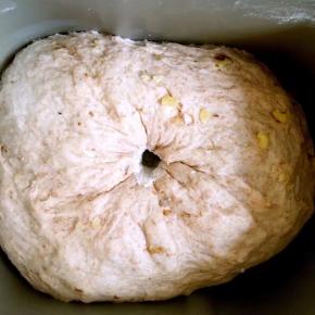 再次启动和面程序将核桃仁与面团混合均匀即可开始发酵，手指蘸少许面粉戳一下发酵好的面团不回缩就表示发酵好了