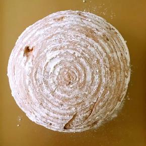 把面团倒扣在不粘烤盘上