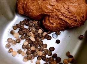 加入巧克力豆再次启动和面程序，使面团和巧克力豆混合均匀即可开始发酵。