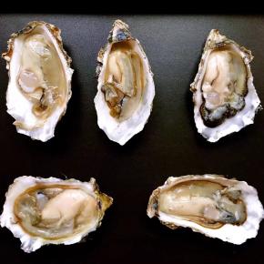 把生蚝摆在烤盘上，此时烤箱上火195度，下火185度开始预热10分钟