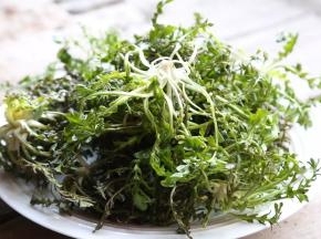 处理荠菜并洗净备用