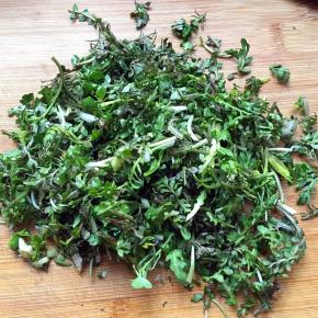 洗净的荠菜切碎备用