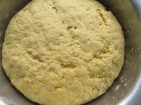 放到温暖的地方发酵。