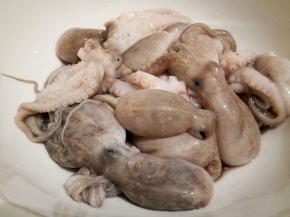 挑选章鱼以体形完整，色泽鲜明，肥大，爪粗壮，体色柿红带粉白，有香味，足够干且淡口的为上品。色泽紫红的次之。