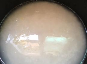 锅里面刷点油，放入大米，水适量，大火煮开转小火