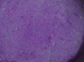 4. 然后用筛子过筛，这个步骤比较麻烦，耗时费力，如果有料理机打一下，还是比过筛省力一些。