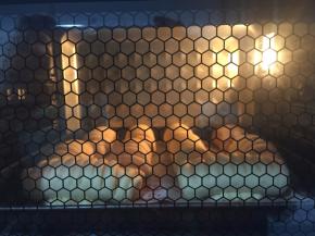 送进烤箱上下160度22分钟