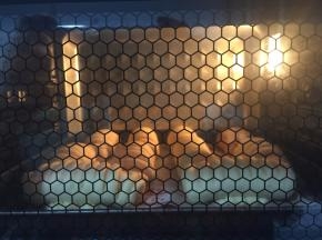 送进烤箱上下160度22分钟