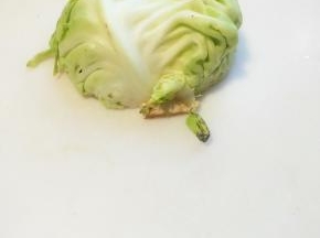 包菜有些地方叫卷心菜，