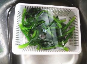 芥兰飞水后过冷河。