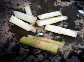 竹蔗洗净后切成10厘米的一段，然后破开4边。