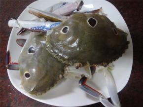 三眼蟹先处理好，蟹钳拍裂。