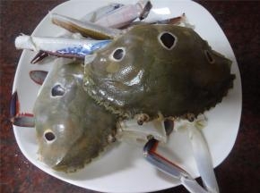 三眼蟹先处理好，蟹钳拍裂。