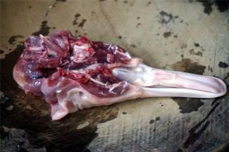 将鸭头的硬喉部切去，鸭头切开两半（不要切断）。