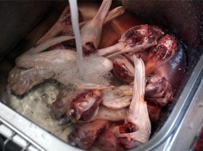 首先冲洗干净（一定要先洗洗，市场上很多人摸过呢）。