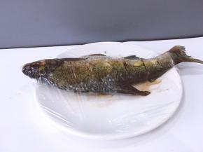 将生姜去皮洗净切段在鱼划开的地方均匀抹盐塞进生姜盖上保鲜膜腌制3小时鱼肚子里也记得抹盐哦