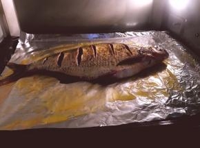 将腌制好的鱼用水冲洗干净在烤盘上铺一层锡纸，在上面刷油，鱼放上刷油，油尽量多一点