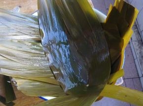 将冷冻的粽叶室温解冻，在水里浸泡两小时，取几片铺满容器底部。