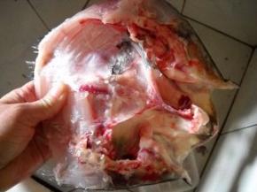 鱼头去除内脏、撕掉黑筋膜、清洗干净。 鱼头抹净水分，放入大碗中；撒上少许盐腌制10分钟。