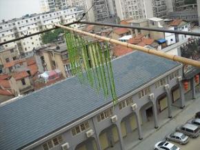 穿在竹竿上，放在室外太阳下暴晒数小时；至豇豆变为灰白色，但还留有些许水分，不能太干枯了。