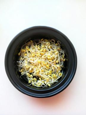 烧开一小锅水，将豆芽洗净后，放入开水中烫一下，放入酒精锅中，按个人口味撒一点盐，备用