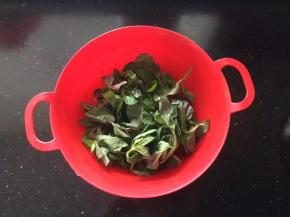 薄荷叶清洗干净备用。