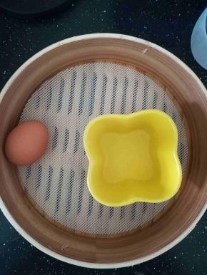 熬汤的时候，我们准备炖蛋的材料。